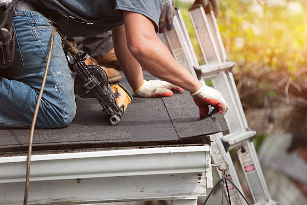 Best Roof Gutter Cleaning  in Chesterfield, SC